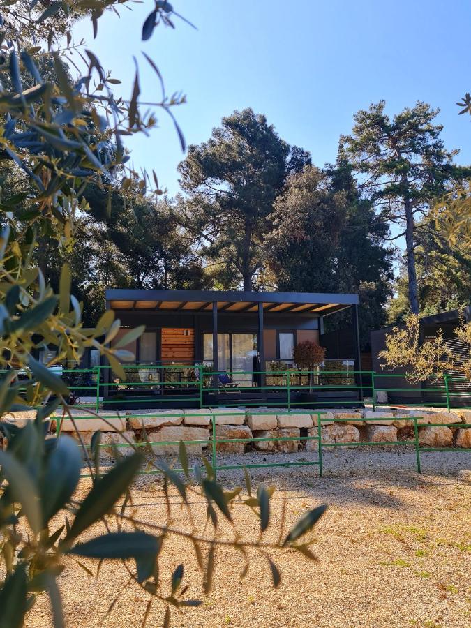 Luxury Mobile Homes Ivaci 罗维尼 外观 照片